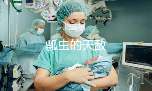 高铁很晃是什么梗