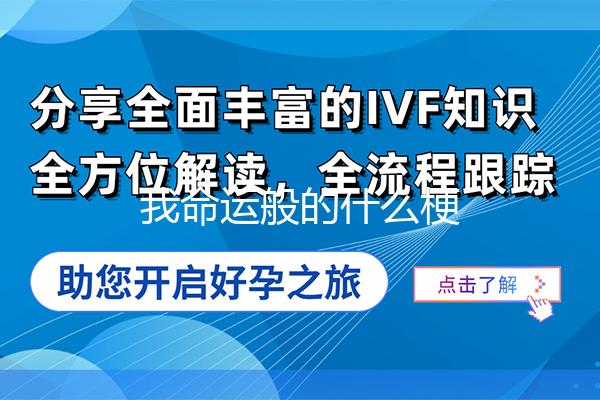 我命运般的什么梗