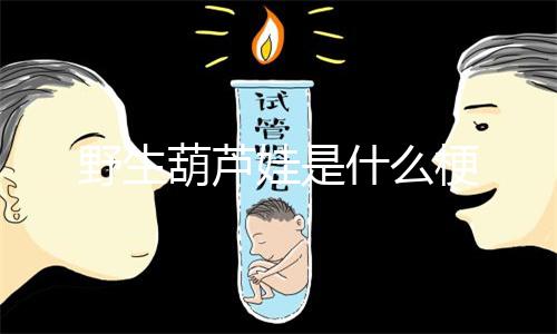 野生葫芦娃是什么梗
