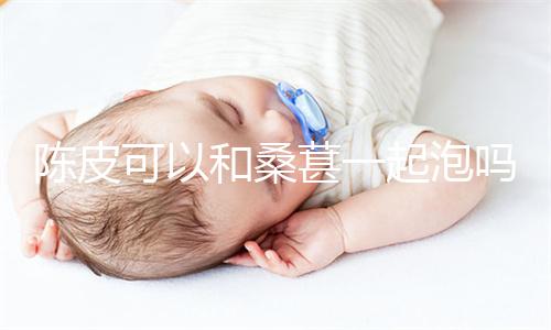 陈皮可以和桑葚一起泡吗
