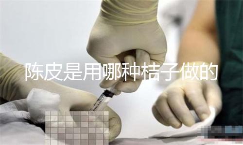 我命运般的什么梗