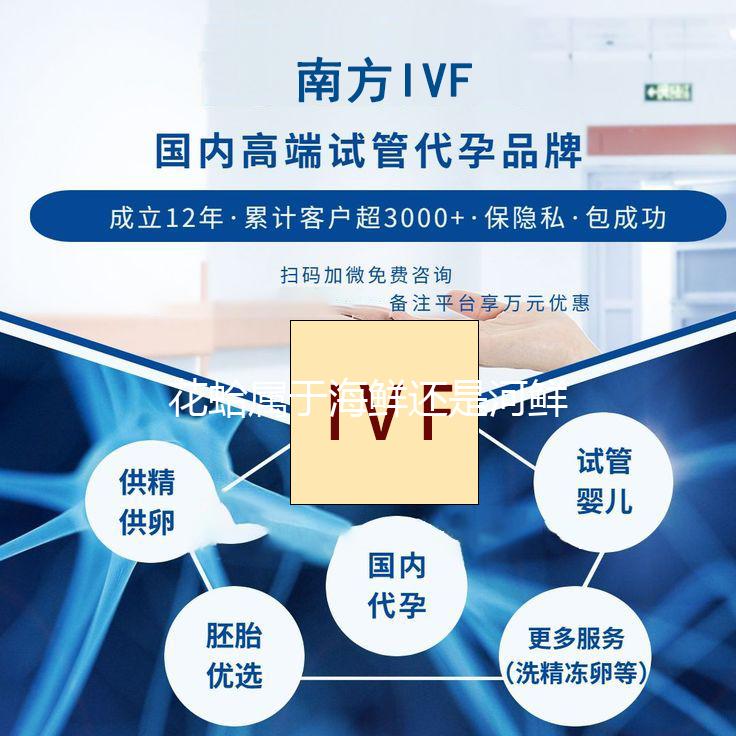花蛤属于海鲜还是河鲜