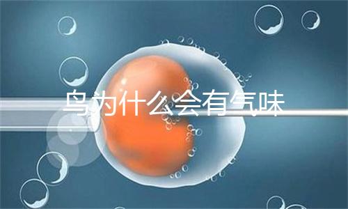 椒盐龙头鱼的做法窍门